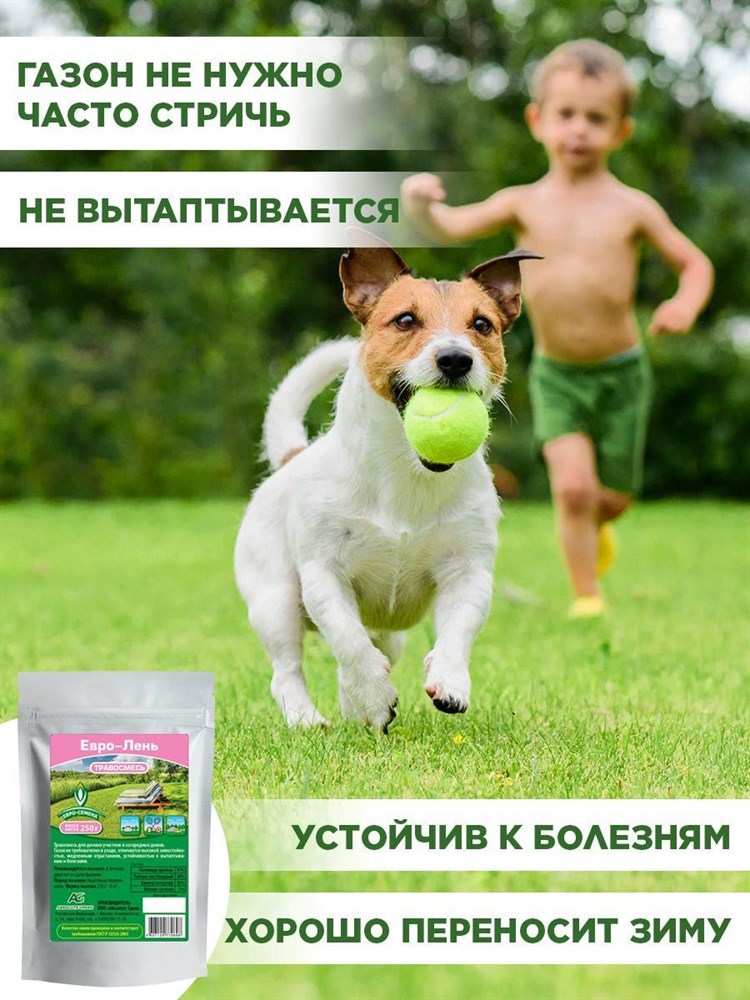 Газонная трава для дачных участков и загородных домов отдыха, не требовательная в уходе, Семена "Евро-Лень", 250гр F0000010912 - фото 64096