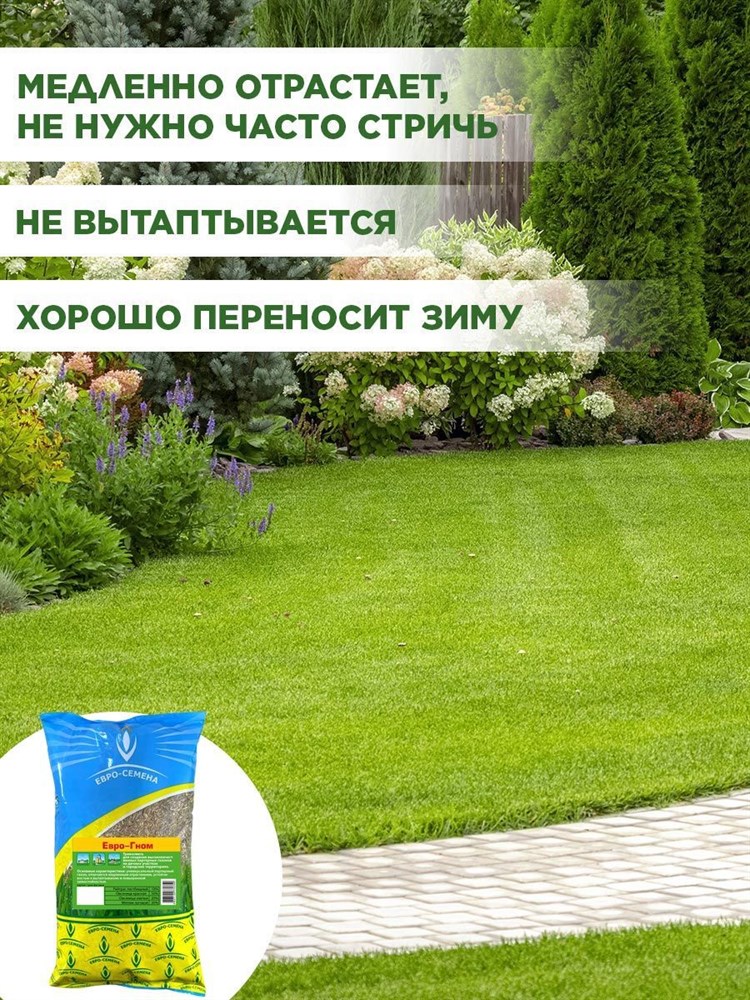 Газонная трава, для партерных газонов на дачных участках и городских территориях, Семена "Евро-Гном", 1кг 00040010594 - фото 64125