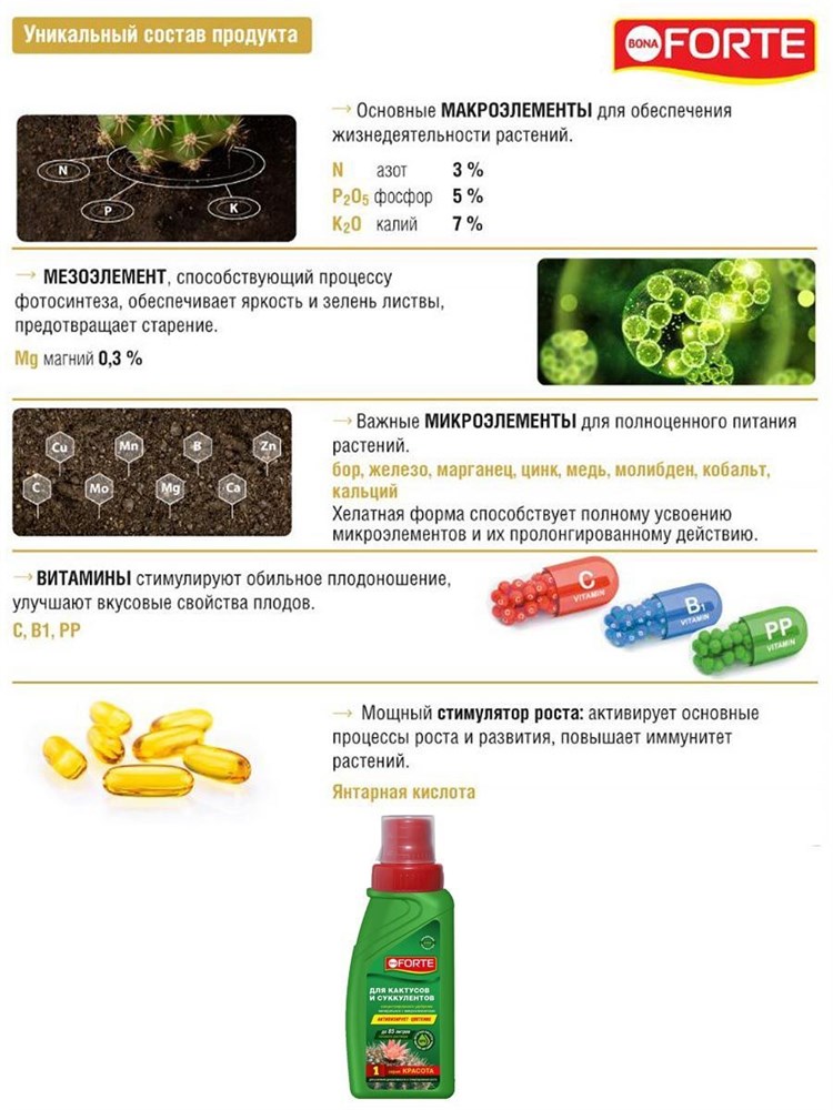 Удобрение для кактусов комплексное с магнием и янтарной кислотой, серия красота, БОНА ФОРТЕ 285мл 00040021678 - фото 64733
