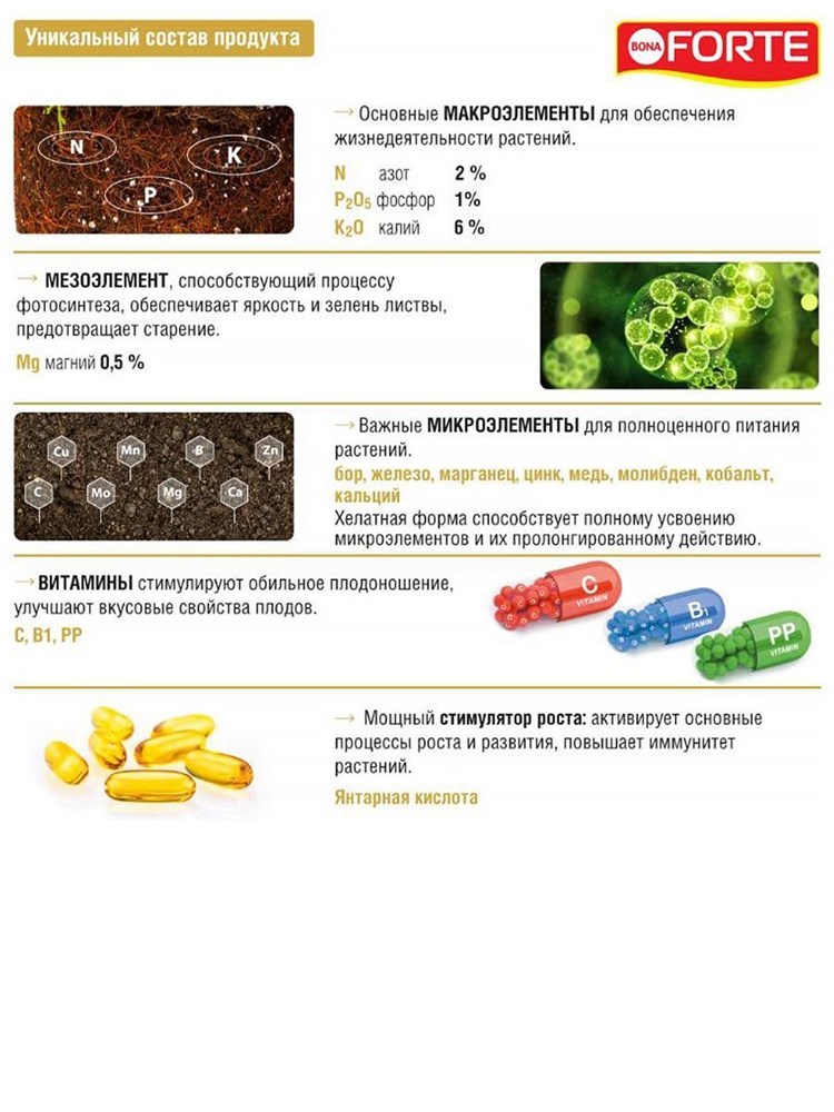 Удобрение для хвойных комплексное, от покоричневения хвои, серия красота, БОНА ФОРТЕ 285мл F0000036336 - фото 68293