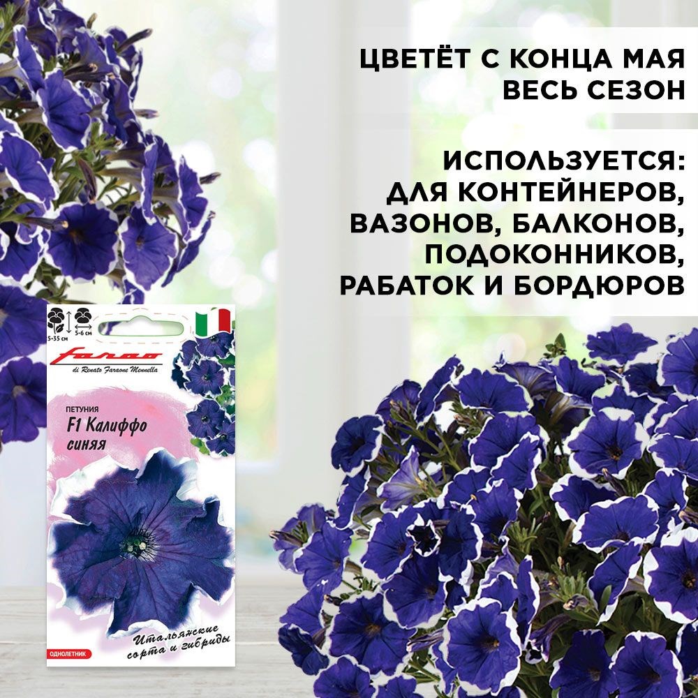 Петуния ампельная семена, Калиффо синяя многоцветковая, Гавриш, 7шт F0000030915 - фото 68830