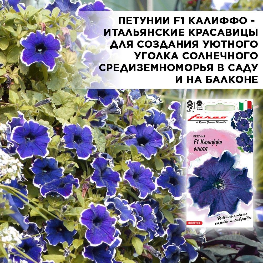 Петуния ампельная семена, Калиффо синяя многоцветковая, Гавриш, 7шт F0000030915 - фото 68831