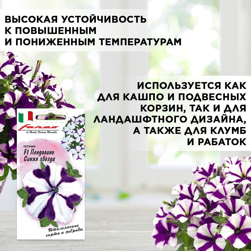 Петуния ампельная многоцветковая, Пендолино синяя звезда, Гавриш, 7шт F0000039353 - фото 68855