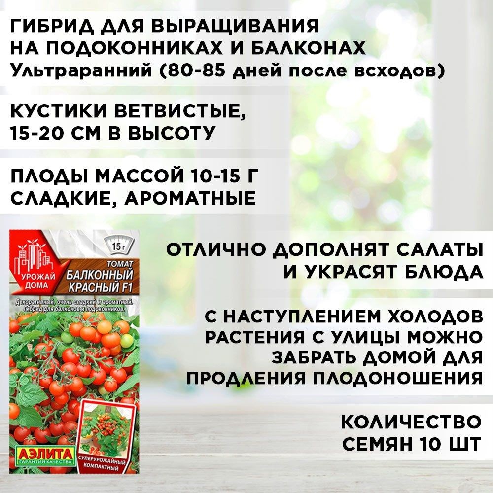 Семена томат Балконный красный, огурец "Окошко", баклажан "Патио-малыш", перец "Подросток", набор х 4 F0000059930 - фото 68953