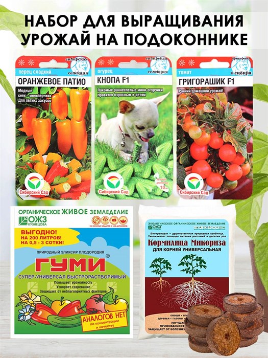 Набор для выращивания Овощи на подоконнике: Томат Григорашик, Огурец Кнопа, Перец Оранжевое патио - фото 67514