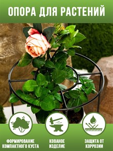 Опора для растений и цветов, садовая стойка держатель для Роз 50 см HiTSAD 57-904