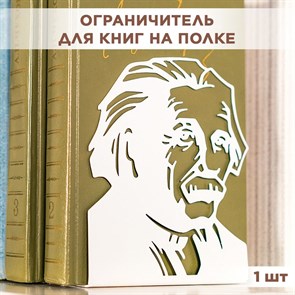 Подставка ограничитель для книг металлическая белая, Эйнштейн IRONDECOR 705-014W 705-014W