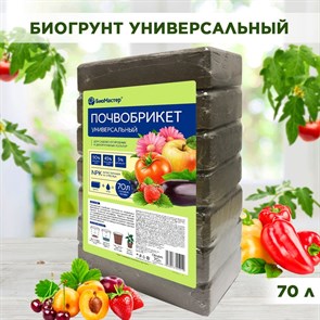 Почвобрикет для садово-огородных и цветочных культур, Универсальный пресованный, БиоМастер 70л F0000048427