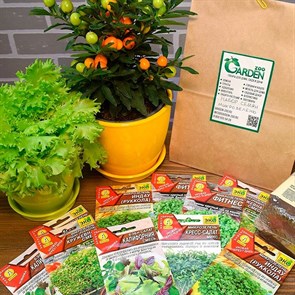 Набор семян для выращивания микрозелени в контейнерах, Аэлита, 10 упаковок
