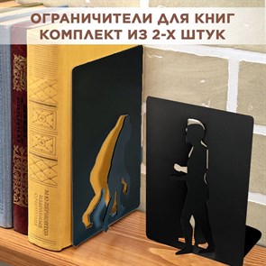 Комплект двух ограничителей для книг на полке металлический, Эволюция IRONDECOR 705-022B 705-022B