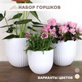 Пластиковые горшки для цветов, комплект из трех горшков 1,4л, 2,9л и 4л Альфа белый F0000054987 - фото 63480