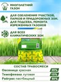 Газонная трава для городских территорий, парков и площадок, травосмесь "Быстрый газон", 1кг F0000009911 - фото 64118