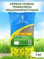 Газонная трава, для партерных газонов на дачных участках и городских территориях, Семена "Евро-Гном", 1кг 00040010594 - фото 64122