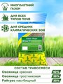 Газонная трава для городских территорий, парков и садов, травосмесь "Евро-Парк", 1кг 00040010588 - фото 64133