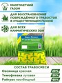 Газонная трава, восстановительная смесь из быстрорастущих сортов трав, Семена газона "Евро-Ремонт", 1кг 00040009443 - фото 64138