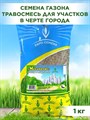 Газонная трава для города и мегаполиса, для почвы с высокой кислотностью, устойчив к загазованному воздуху, "Мегаполис" 1кг F0000009913 - фото 64159