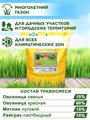 Газонная трава, для городских территорий, парков и садов, зимостойкая и устойчивая к вытаптыванию, Семена "Газон Гном" 10кг F0000004910 - фото 64238