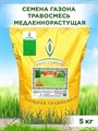 Газонная трава, для городских территорий, парков и садов, зимостойкая и устойчивая к вытаптыванию, Семена "Газон Гном" 5кг 00040003857 - фото 64242