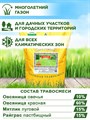 Газонная трава, для городских территорий, парков и садов, зимостойкая и устойчивая к вытаптыванию, Семена "Газон Гном" 5кг 00040003857 - фото 64243