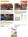 Удобрение цветочное минеральное комплексное, усиленное бором, БОНА ФОРТЕ 1кг F0000050597 - фото 64702