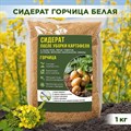 Сидерат Горчица белая семена, зелёное удобрение, защита от сорняков и проволочника, 1кг F0000017200 - фото 65664