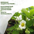 Укрывной материал Спанбонд, для парников, теплиц и укрытия растений на зиму, белый СУФ-40, 3,2 х 10 м F0000046637 - фото 66430