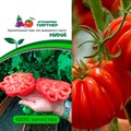 Семена Томат "Нина" Агрофирма Партнер, среднеспелый биф-томат для теплиц - фото 67577