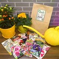Набор семян декоративных однолетних растений "Цветущая клумба", 11 шт в комплекте - фото 68380