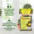 Грунт для кактусов, литопсов и суккулентов, набор субстратных компонентов, Сады Аурики 0,5л 00040003168 - фото 68601