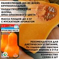 Семена тыквы "Арахисовое масло", раннеспелая, мускатная, сладкая, Сибирский сад, 2 х 3шт F0000058112 - фото 68640