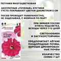 Петуния ампельная семена, Калиффо вишневая многоцветковая, Гавриш, 7шт 00040025257 - фото 68819