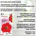 Петуния ампельная многоцветковая, Калиффо красная, Гавриш, 7шт 00040022436 - фото 68834