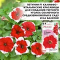 Петуния ампельная многоцветковая, Калиффо красная, Гавриш, 7шт 00040022436 - фото 68836