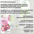 Петуния ампельная, каскадная партитуния Нуволари Рассвет F1, Гавриш, 4шт F0000022427 - фото 68839