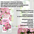 Петуния ампельная, каскадная партитуния Нуволари Рассвет F1, Гавриш, 4шт F0000022427 - фото 68840