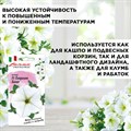 Петуния ампельная семена, Пендолино многоцветковая белая, Гавриш, 7шт F0000047539 - фото 68870