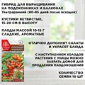 Семена томат Балконный красный, огурец "Окошко", баклажан "Патио-малыш", перец "Подросток", набор х 4 F0000059930 - фото 68953